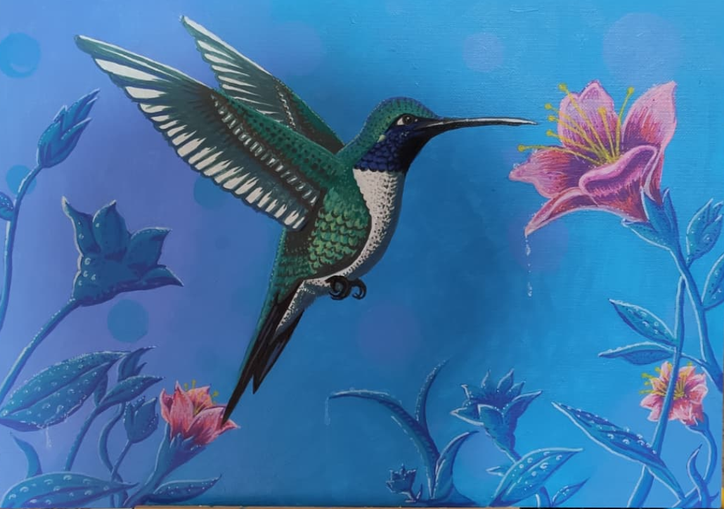 Colibrì tra i Fiori